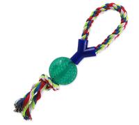 Jouet CHIEN FANTASY DENTAL MINT balle de lancer avec corde Y vert 7 x 40 cm 1 pc