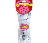 Jouet Corde Mentholé 22 cm M