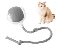 Jouet de balle pour gros chat, jouet d'interaction puzzle pour chat, balle électrique automatique pour chat, jouet pour chat pour jeu intérieur, balle de puzzle interactive, balle de chat pour