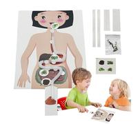 Jouet de bricolage pour - Kit scientifique de modélisme éducatif et sûr - Kit de développement d'activités d'apprentissage créatif et - Pour , filles, enseignement, jeu, école à