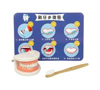 Jouet de brossage des Dents pour - Jouet Dentaire, kit de Soins dentaires interactifs, kit de brosses à Dents éducatives pour enseigner Les habitudes d'hygiène, Enseignant préscolaire