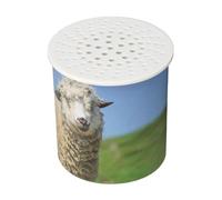 Jouet de Bruitage de Mouton, Jouet de Bruitage de Chèvre pour bébé, Imitation et Apprentissage des Sons D'animaux, avec Jouet de Farce Amusant, pour la Coordination œil-main