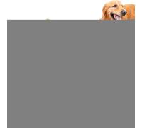 Jouet De Canard Pour Chien - Mâcher Grincement En Peluche, Oreiller De Confort Doux | Jouet D'oreiller De Canard Interactif Pour Les Chiots Avec Effet Calmant Buddy Snuggle Pour Le Repos Temps De Rédu
