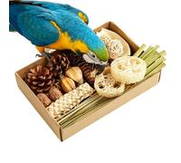 Jouet de chasse à nourriture pour oiseaux, occupation, déchirure, boîte de cage