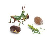 Jouet De Croissance De L'escargot Pour Enfants,Figurines De Bonification,Sauterelle Nitive,Vie,Mante Priante #D