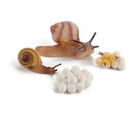 Jouet De Croissance De L'escargot Pour Enfants,Figurines De Bonification,Sauterelle Nitive,Vie,Mante Priante #B