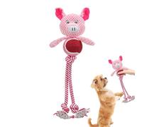 Jouet de Dentition à mâcher pour Chiot - Jouet interactif en Peluche pour Chien, résistant à l'usure, Design résistant aux morsures pour la santé du Chiot