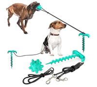 Jouet de dentition portable réutilisable pour chien avec piquet pour cour - Mors à mâcher amusants pour chiens
