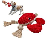 Jouet de dentition pour chiot - Jouet interactif doux en corde pour chien - Jouet durable et qui prend soin des dents - Matériau doux à mâcher - Idéal pour le nettoyage des dents et le jeu des chiots