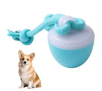 Jouet de Loisirs Interactifs pour Chiens, Balle Électriques Rechargeables pour Chien avec Fonction Réveil Tactile et Rire, Parfaites pour Chats et Chiots Plaisir de Jouer en Intérieur et en Extérieur