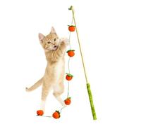 Jouet de pêche interactif pour Chat - Interactive avec Design de Fruits - Jouet pour Jouer à l'intérieur - pour Chaton - Motif Oiseau, Poisson et Souris - pour Lutter Contre l'ennui