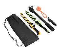 Jouet de Pôle de Flirt, Exercice de Prévention de l'obésité, Jouet Interactif, Pôle de Flirt Polyvalent pour Petits Chiens