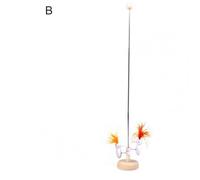 Jouet De Printemps Interactif En Bois Pour Bébé, Mignon Et Divertissant