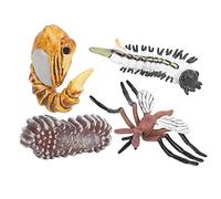 Jouet de simulation animale, modèle de cycle de croissance exquis sûr et pratique avec une apparence exquise pour l'éducation