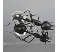 Jouet De Simulation D'énergie Solaire Pour Enfants, Puzzle Scientifique Environnementale, Petite Fourmi, Abeille, Homard, Crabe, Nouveauté 2021