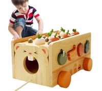 Jouet de tri de formes - de tri mignon et de carottes | Jeu d'association de formes pour la maternelle, l'école primaire, comme jouet éducatif et cadeau