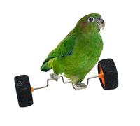 Jouet d'Équilibre pour Perroquet - Rouleau Entraînement Équilibre Perrot | Accessoire de Cage et Sport pour Cacatoès Véhicule d'Équilibre,pour Animalerie Maison Vitrine Table Verre Bois