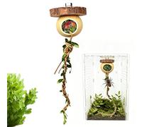 Jouet d'escalade de mante Religieuse - Cage à Reptiles en Bois, araignée, décoration, Corde Suspendue, Accessoire d'habitat | Parfait pour éleveurs, Parents d'animaux de Compagnie, amoureu