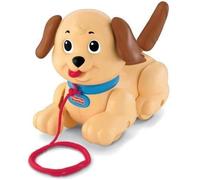 Jouet d'éveil à tirer - FISHER-PRICE - Petit Snoopy - Mixte - A partir de 12 mois