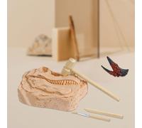 Jouet D'Excavation De Fossile De Dinosaure, Jouet D'Astronomie, Réduction De La Paléontologie, Dent De Dino Réaliste Pour Améliorer Les Capacités Pratiques 1:1