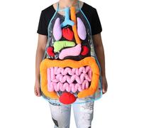 Jouet D'Orgue Du Corps Humain 3d, Avec Tablier, Ustensiles D'Enseignement, Aide À La Sensibilisation, Jouet Éducatif Pour Enfant