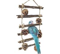 Jouet Échelle pour Les Oiseaux | Perchoir en Bois avec Marches de Jeu et Décoration,Jouet en Bois à Échelle pour Grimper - Pour Conures Perruches Calopsittes Maison Intérieur Extérieur Jardin et Porch