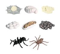 Jouet éducatif modèle araignée - Croissance animale de 12 cm, simulation de cycle, outil d'apprentissage, activité scientifique pour les tout-petits | Jouet d'exploration scientifique pour