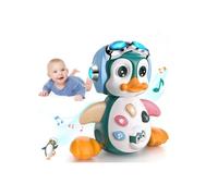 Jouet éducatif - Pingouin - Musical - Lumières - 6-12 mois - Pour Bébé