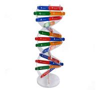 Jouet éducatif pour l'école maternelle - Kits de sciences biologiques 3D DIY - Modèle ADN - Structure génétique - Cadeaux pour enfants (multicolore, taille unique)