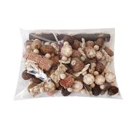 Jouet en bois pour perroquet - Balançoire - Accessoires d'escalade et de divertissement - Perchoirs pour cacatoès