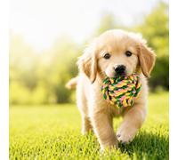 Jouet en corde pour petit chien, boule nouée en coton, 6,1 cm