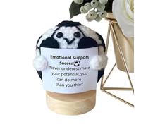 Jouet en peluche, avec inscription inspirante, faite à la main, boule à crochet positive avec inscription inspirante, idée cadeau