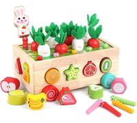 Jouet enfant 2 ans - Montessori 2 Ans - Jouet Bois 2 Ans,Cadeau bébé 2 Ans,Jeu de Tri Montessori Puzzle en Bois,Récolte de Carottes
