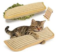 Jouet interactif à mâcher à l'herbe à chat avec herbe à chat biologique 6000 mg oreiller en sisal pour chaton d'intérieur qui gratte et rend les chats ennuyés fous avec une mastication