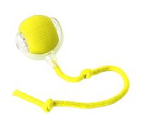 Jouet interactif pour Chat | Balles roulantes électriques avec Correction Automatique d'itinéraire, Rotation à 360 degrés, Jouet de Jeu pour Jeu Personnel, Chasse, Dressage de, Chiens