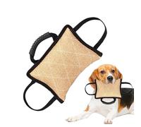 Jouet interactif pour chien - Tapis de guerre pour chiots et chiens de taille moyenne à grande - En polyester solide - Jouet d'entraînement pour chien - Pour mordre et graisser - Jouet durable pour