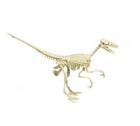 Jouet Jurassic,Kits De Excavations,Éducation De L'archéologie,Jeu D'action,Modèle De Squelette Pour Enfants,Cadeau - Type Raptor