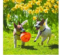 Kong Jumbler Balle M-L 14 cm