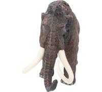 Jouet,Modèle réduit,Statue jouet,Modèle animal,Jouet animal simulé