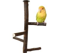 Jouet naturel en bois pour perchoirs, cage pour perroquets, perchoir debout, aire de jeu pour oiseaux, accessoires pour perchoirs en branche de cage
