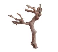 Jouet naturel pour hamster grimpant Branches pour petits animaux | Bois de vigne naturel non traité, favorise l'activité physique, conçu pour les rongeurs, convient pour diverses cages de 9 cm