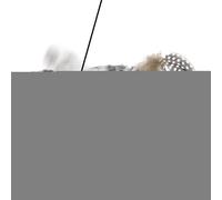 Jouet Oiseau Battant Pour Chat,Animal De Compagnie Interactif Électrique Réaliste | Oiseau Volant Électrique Gazouillis Battements Ailes Pour Chat,Pour Exercice Et Jeu Des Chatons Et Chats De Toutes T