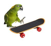 Jouet Perroquet, Jouets de Planche à roulettes de Perroquet Formation drôle Oiseau Jouant Le Jeu interactif d'oiseaux se Tenant Le Support éducatif de perchois Cockatiels pour des Oiseaux