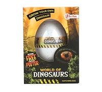 Jouet-Plus Jouetprive Å’uf de Croissance Dinosaure, modèle aléatoire 35114Z