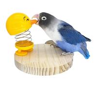 Jouet pour cage à oiseaux, jouet de dentition pour cage avec plaque de support, décoration de cage de dessin animé, petit jouet de printemps pour enrichir les oiseaux