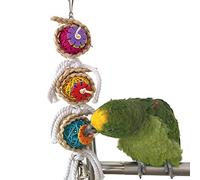 Jouet pour cage pour perruches, perroquets, calopsittes, conures, inséparables ou cacatoès