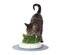 Jouet pour chat herbe de rechange Catit CA Design Senses (x2) Vert TU