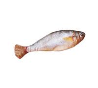 Jouet pour Chat Poisson,Poisson Automatique 150mAh pour Chats - Automatique Interactif Électrique Enrichissement avec Housse Lavable - Jeu d'exercice d'Intérieur et d'Extérieur pour Maison