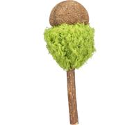 Jouet pour chat sucette au matatabi Trixie Vert 13 cm