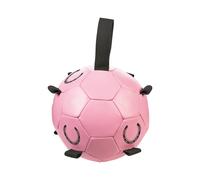 Jouet pour cheval HKM Fun Rose 18 cm